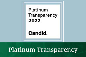 Platinum Transparency logo