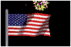 FLAG.gif